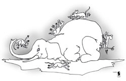 Elefantenrutsche_1W