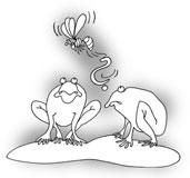 Frosch_Brotzeit_1W