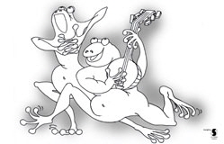 Froschkonzert_01W