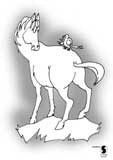 Pferd1W