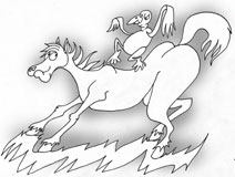 Pferd_VogelW