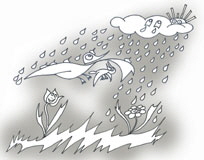 Regen1W
