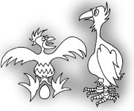 Voegel1W