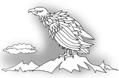Adler1W