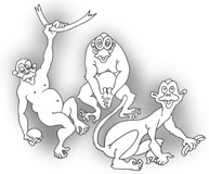 Affe2W