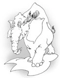 Elefant1W