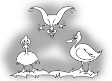 Enten2W