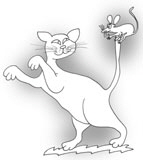 Katz1W