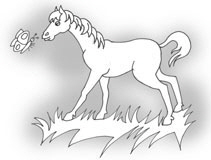 Pferd2W