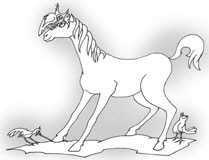 Pferd3W