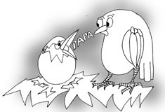 VogelPapaW